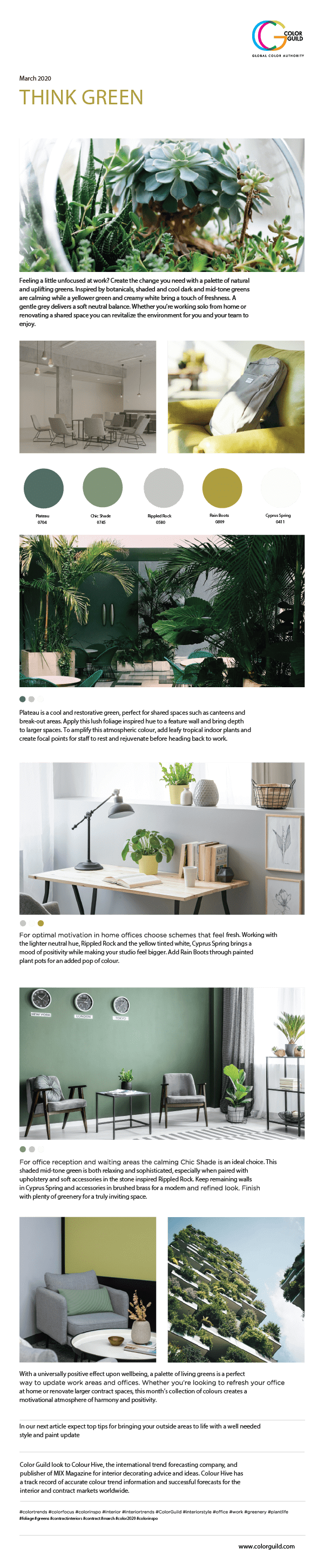 Cloverdale Paint Colour Trends