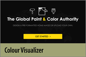 Colour Visualizer - FYH