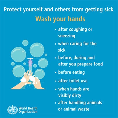 W.H.O. Coronavirus - Wash Your Hands