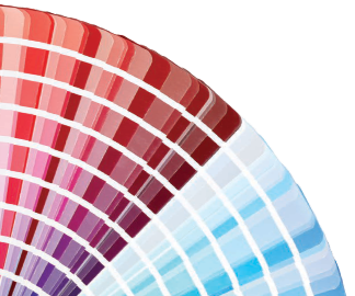 Colour fan showing paint colour options